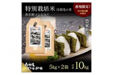 【通年受付】≪令和6年産≫　農家直送！魚沼産コシヒカリ特別栽培「白羽毛の米」精米 (5kg×2袋) 10kg