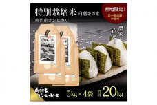 【通年受付】≪令和6年産≫　農家直送！魚沼産コシヒカリ特別栽培「白羽毛の米」精米(5kg×4袋) 20kg