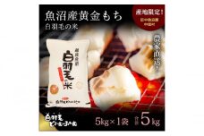 【通年受付】≪令和6年産≫　農家直送！魚沼産黄金もち「白羽毛の米」精米(5kg×1袋) 5kg