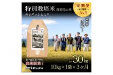 【通年受付】≪令和6年産　≫【定期便／全3回】農家直送！魚沼産コシヒカリ特別栽培「白羽毛の米」精米(10kg×1袋)×3回 30kg