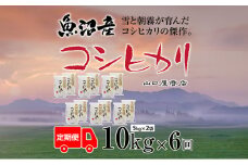 定期便 全6回 魚沼産コシヒカリ 5kg×2袋