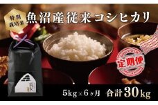 ６カ月定期便【特別栽培米】頂米金兵衛　魚沼産従来コシヒカリ（精米）5kg