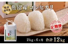 ６カ月定期便【特別栽培米】頂米金兵衛　魚沼産コシヒカリ（精米）2kg