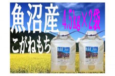 「魚沼産こがねもち」 もち米 精米4.5kg×2袋