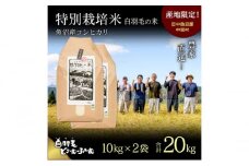【通年受付】≪令和6年産≫　農家直送！魚沼産コシヒカリ特別栽培「白羽毛の米」精米(10kg×2袋) 20kg