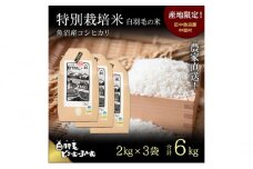 【通年受付】≪令和6年産≫　農家直送！魚沼産コシヒカリ特別栽培「白羽毛の米」精米 (2kg×3袋) 6kg