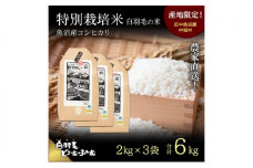 【通年受付】≪令和7年産≫ 農家直送！魚沼産コシヒカリ特別栽培「白羽毛の米」精米 (2kg×3袋) 6kg お米 白米 ご飯 