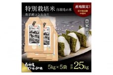 【通年受付】≪令和6年産≫　農家直送！魚沼産コシヒカリ特別栽培「白羽毛の米」精米 (5kg×5袋) 25kg