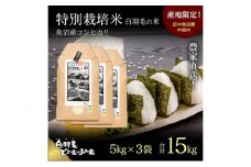【通年受付】≪令和6年産≫　農家直送！魚沼産コシヒカリ特別栽培「白羽毛の米」精米 (5kg×3袋) 15kg