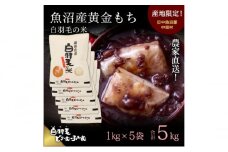 【通年受付】≪令和6年産≫　農家直送！魚沼産黄金もち「白羽毛の米」精米(1kg×5袋) 5kg