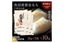 【通年受付】≪令和6年産≫　農家直送！魚沼産黄金もち「白羽毛の米」精米(2kg×5袋) 10kg