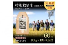 【通年受付】≪令和6年産　≫【定期便／1ヶ月おき全6回】農家直送！魚沼産コシヒカリ特別栽培「白羽毛の米」精米(10kg×1袋)×6回 60kg