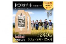 【通年受付】≪令和6年産　≫【定期便／全12回】農家直送！魚沼産コシヒカリ特別栽培「白羽毛の米」精米(10kg×2袋)×12回 240kg