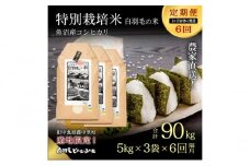 【通年受付】≪令和6年産　≫【定期便／1ヶ月おき全6回】農家直送！魚沼産コシヒカリ特別栽培「白羽毛の米」精米(5kg×3袋)×6回  90kg