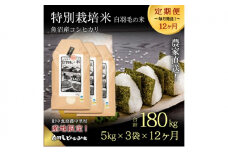 【通年受付】≪令和6年産　≫【定期便／全12回】農家直送！魚沼産コシヒカリ特別栽培「白羽毛の米」精米(5kg×3袋)×12回 180kg