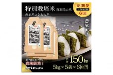 【通年受付】≪令和6年産　≫【定期便／1ヶ月おき全6回】農家直送！魚沼産コシヒカリ特別栽培「白羽毛の米」精米(5kg×5袋)×6回 150kg