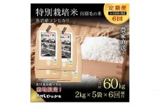 【通年受付】令和6年産　【定期便/1ヶ月おき全6回】魚沼産コシヒカリ 特別栽培「白羽毛の米」精米(2kg×5袋)×6回 60kg