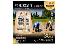 【通年受付】≪令和6年産　≫【定期便／1ヶ月おき全6回】農家直送！魚沼産コシヒカリ特別栽培「白羽毛の米」精米(1kg×5袋)×6回  30kg