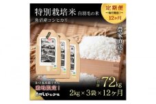 【通年受付】≪令和6年産　≫【定期便／全12回】農家直送！魚沼産コシヒカリ特別栽培「白羽毛の米」精米(2kg×3袋)×12回  72kg