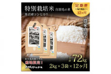 【通年受付】≪令和7年産 ≫【定期便／全12回】農家直送！魚沼産コシヒカリ特別栽培「白羽毛の米」精米(2kg×3袋)×12回 72kg お米 
