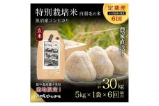 【通年受付】≪令和6年産　≫【定期便／1ヶ月おき全6回】農家直送！魚沼産コシヒカリ特別栽培「白羽毛の米」玄米(5kg×1袋)×6回  30kg