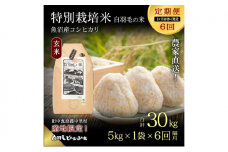 【通年受付】≪令和7年産 ≫【定期便／1ヶ月おき全6回】農家直送！魚沼産コシヒカリ特別栽培「白羽毛の米」玄米(5kg×1袋)×6回 30kg お米 白米 安心 