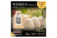 【通年受付】≪令和6年産　≫【定期便／全12回】農家直送！魚沼産コシヒカリ特別栽培「白羽毛の米」玄米(5kg×1袋)×12回  60kg