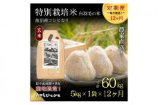 【通年受付】≪令和7年産 ≫【定期便／全12回】農家直送！魚沼産コシヒカリ特別栽培「白羽毛の米」玄米(5kg×1袋)×12回 60kg お米 