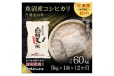 【通年受付】≪令和6年産　≫【定期便／全12回】農家直送！魚沼産コシヒカリ「白羽毛の米」精米 (5kg×1袋)×12回 60kg