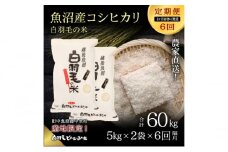 【通年受付】≪令和6年産　≫【定期便／1ヶ月おき全6回】農家直送！魚沼産コシヒカリ「白羽毛の米」精米 (5kg×2袋)×6回 60kg