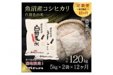 【通年受付】≪令和6年産　≫【定期便／全12回】農家直送！魚沼産コシヒカリ「白羽毛の米」精米(5kg×2袋)×12回 120kg