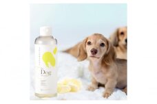 《絹生活研究所》COCONICAL for Dogシャンプー