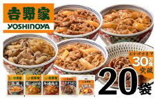 吉野家 人気５種２０袋バラエティセット【冷凍】