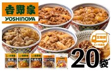 【定期便 ６ヶ月】吉野家 人気５種２０袋バラエティセット（冷凍）