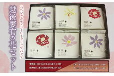 スペシャルティコーヒードリップバッグ「越後妻有の花」セット [DB6]