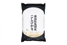 【令和6年産】魚沼産コシヒカリ　5kg×全6回