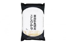 【令和6年産】魚沼産コシヒカリ　5kg×全12回