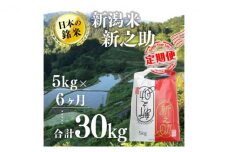 【6カ月定期便】新潟米新之助（精米）5kg