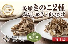 乾燥きのこ 2種セット（ぶなしめじ・まいたけ）／国産 乾燥 ぶなしめじ 30g 舞茸 30g 各1袋 ブナシメジ まいたけ マイタケ ドライ きのこ キノコ 無添加 国産 だし 時短 ダイエット ギフト お取り寄せ はぴふる 新潟県 十日町市