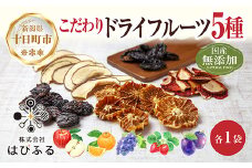 ドライフルーツ 5種(りんご プルーン デコポン いちご ぶどう)／リンゴ 苺 無添加 砂糖不使用 国産フルーツ 果物 保存食 ダイエット ギフト グルメ お取り寄せ はぴふる 新潟県 十日町市