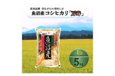 【先行予約】数量限定 従来品種 魚沼産コシヒカリ 精米 5kg 令和7年度米＜令和7年11月上旬～発送予定＞