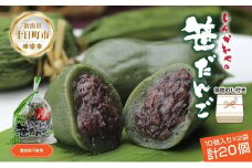 熨斗 笹だんご つぶあん 10個 × 2袋 計20個 セット 冷凍 笹団子 新潟 銘菓 お土産 和菓子 おもち だんご 着色料不使用 国産原料 ギフト お取り寄せ 無地熨斗 のし 新川屋 新潟県 十日町市