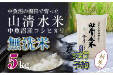 【先行新米予約】新潟県魚沼産コシヒカリ「山清水米」無洗米5kg 