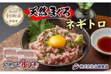 天然 まぐろたたき 200g×4パック 計800g メバチマグロ キハダ ビンチョウ 冷凍 マグロ まぐろ ねぎとろ ネギトロ 海鮮丼 手巻き 寿司 お取り寄せ 送料無料 山崎食品 新潟県 十日町市