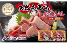 天然 本マグロ 切り落とし 赤身 中トロ 150g×2パック 計300g 本まぐろ クロマグロ 中とろ 冷凍 まぐろ 鮪 海鮮 刺身 海鮮丼 手巻き寿司 お取り寄せ グルメ 送料無料 新潟県 十日町市
