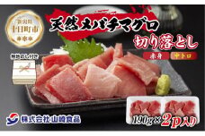 無地熨斗 天然 メバチマグロ 赤身 中トロ 切り落とし 190g×2パック 計380g バチマグロ メバチ 冷凍 お取り寄せ グルメ 熨斗 のし 名入れ不可 送料無料 山崎食品 新潟県 十日町市
