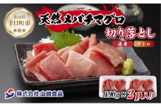 天然 メバチマグロ 赤身 中トロ 切り落とし 190g×2パック 計380g バチマグロ 鉢鮪 冷凍 寿司 刺身 海鮮丼 すし 手巻き寿司 お取り寄せ グルメ 送料無料 山崎食品 新潟県 十日町市