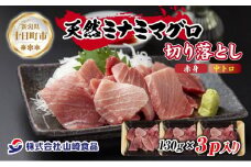 天然 ミナミマグロ（赤身・中トロ） 切り落とし 130g×3パック 計390g インドマグロ 中とろ 手巻き寿司 冷凍 まぐろ 刺身 海鮮丼 お取り寄せ グルメ 送料無料 山崎食品 新潟県 十日町市
