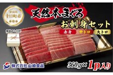 無地熨斗 天然 本マグロ 刺身セット 360g 赤身 中トロ 大トロ 三種 盛り合わせ 鮪 冷凍 まぐろ 手巻き寿司 お取り寄せ グルメ 熨斗 のし 名入れ不可 送料無料 山崎食品 新潟県 十日町市