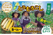 ｜先行予約受付｜ 令和7年産 朝採れ とうもろこし ゴールドラッシュ ピュアホワイト Lサイズ 各4本 計8本 食べ比べ 産地直送 新鮮 コーン 農園 野菜 農作物 わくわくファーム 送料無料